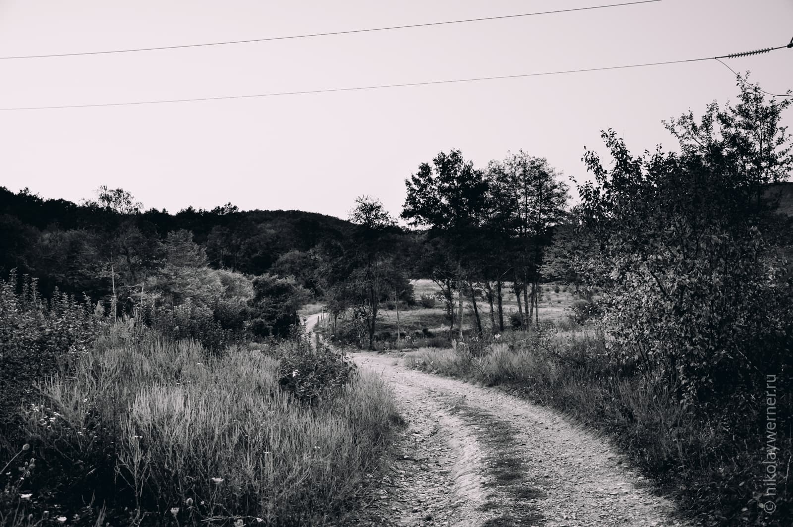 Чёрно-белый кадр. Грунтовая дорога вьётся сквозь высокую траву, вокруг стоят редкие деревья, впереди укрытый лесом хребет, почти чёрный на фото