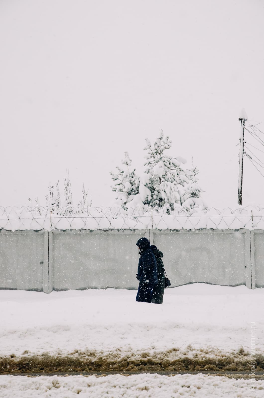 Кусочек тёмного асфальта на переднем плане, снежная стена дальше, идут люди, которых за ней видно по пояс, дальше бетонный забор и укрытая снегом ель за ним