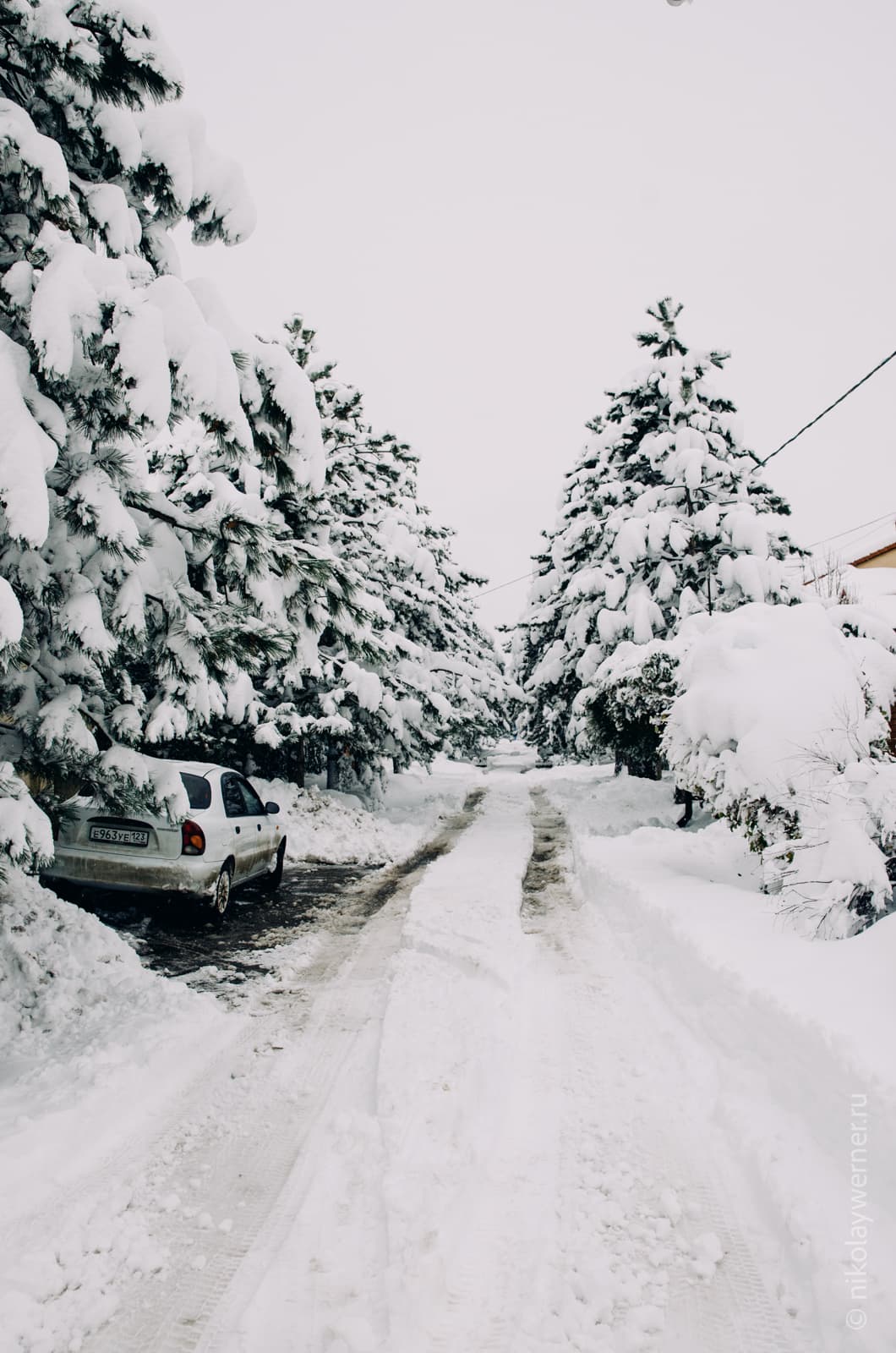 Узкая улочка в снегу. По краям стоят массивные ели, из-за которых совсем не видно домов. Под одной из них, справа, укрылся белый автомобиль