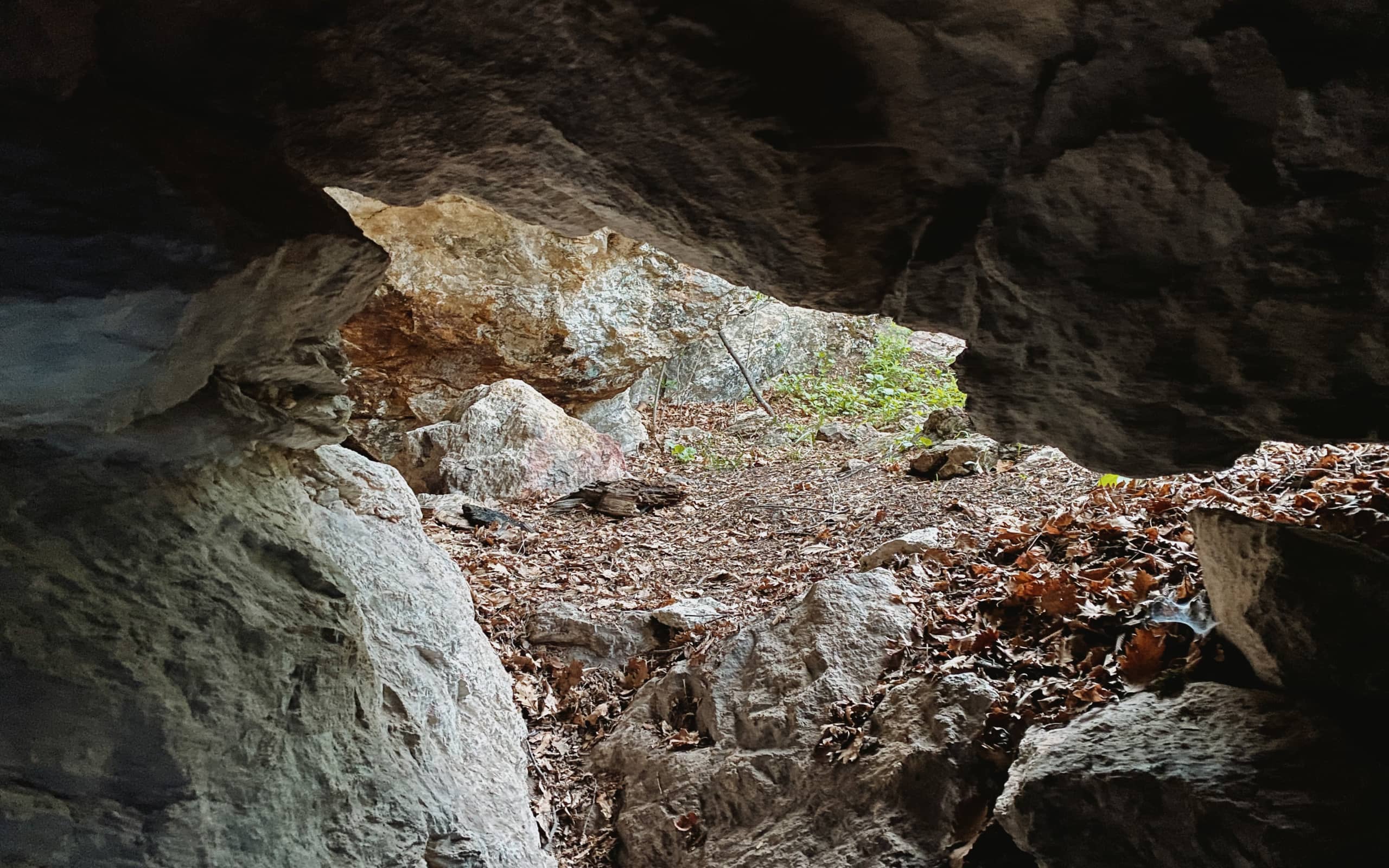 Дилижанские прогулки. К пещере над улицей Камо. 22 апреля 2024 года