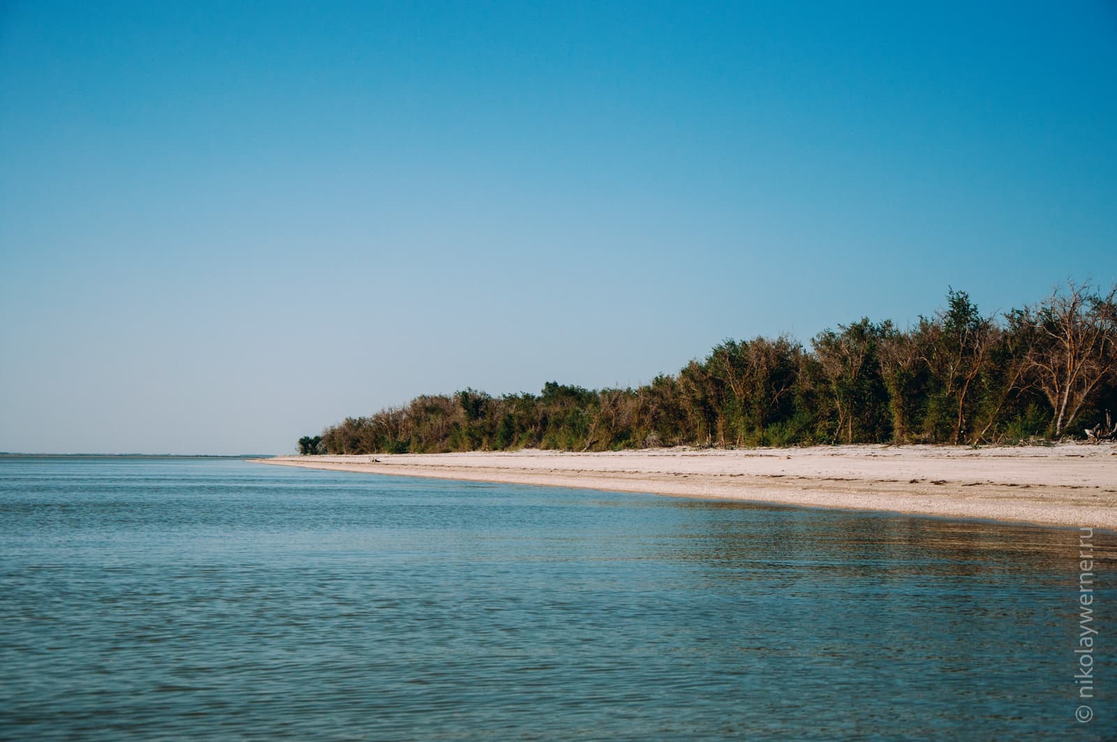 Вид на печаный пляж со стороны моря. Половину кадра на переднем плане занимает вода (почти штиль), дальше песчаный пляж и невысокие деревья, да кустарники плотной стеной стоят за ним