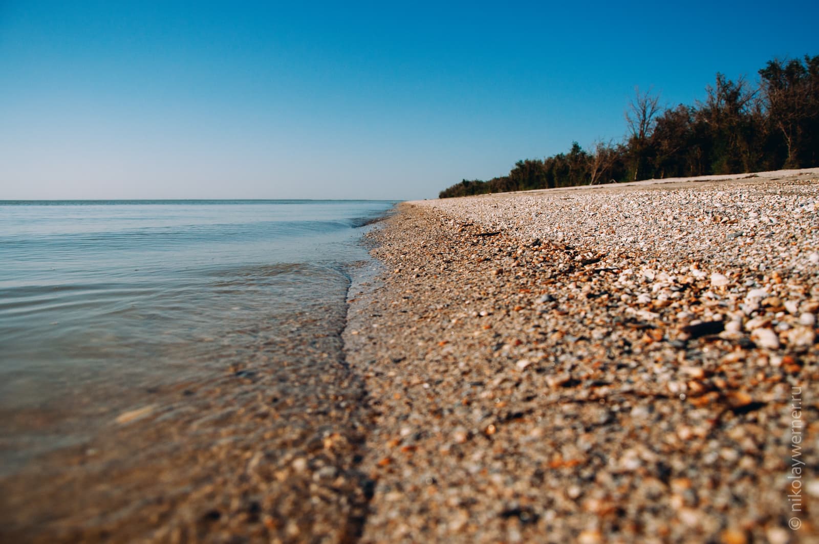 Самый краешек воды крупным планом. Слева вода, справа песок, дальше справа видна зелень