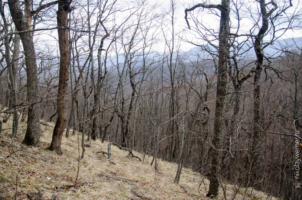 Где-то на восточном склоне Собер-Баша