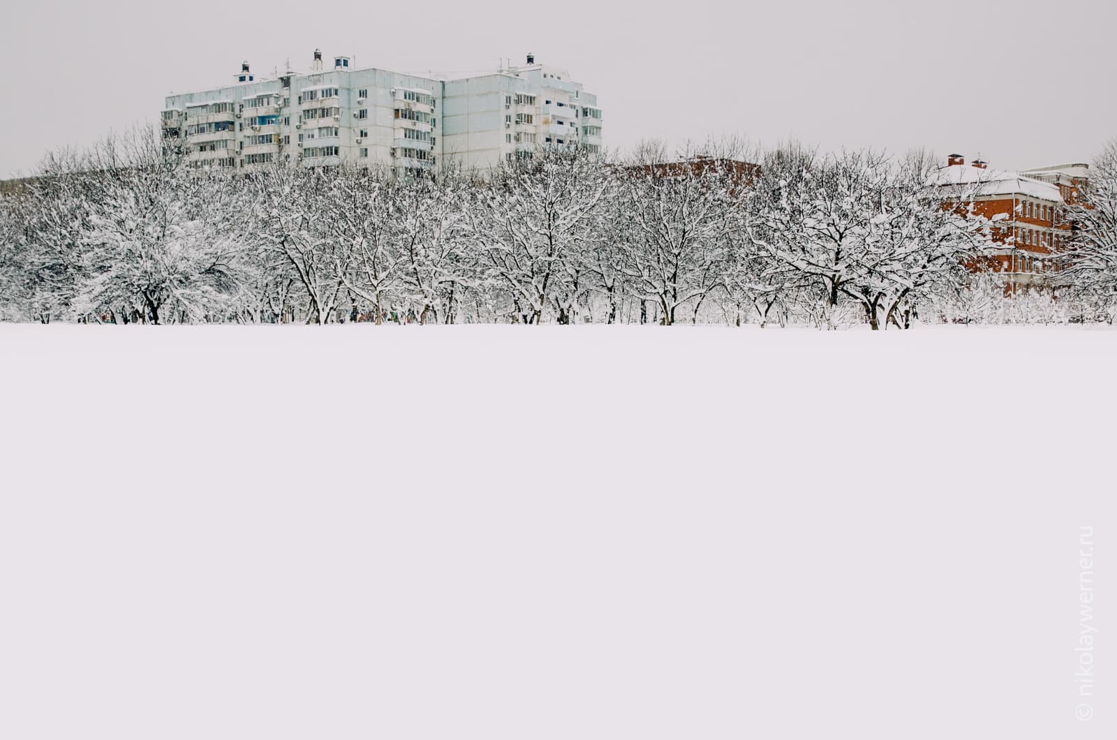 Снежный пустырь. Две нижних трети кадра — белое поле, без деталей, дальше ряд укрытых снегом деревьев, из-за которых выглядывают многоэтажные дома