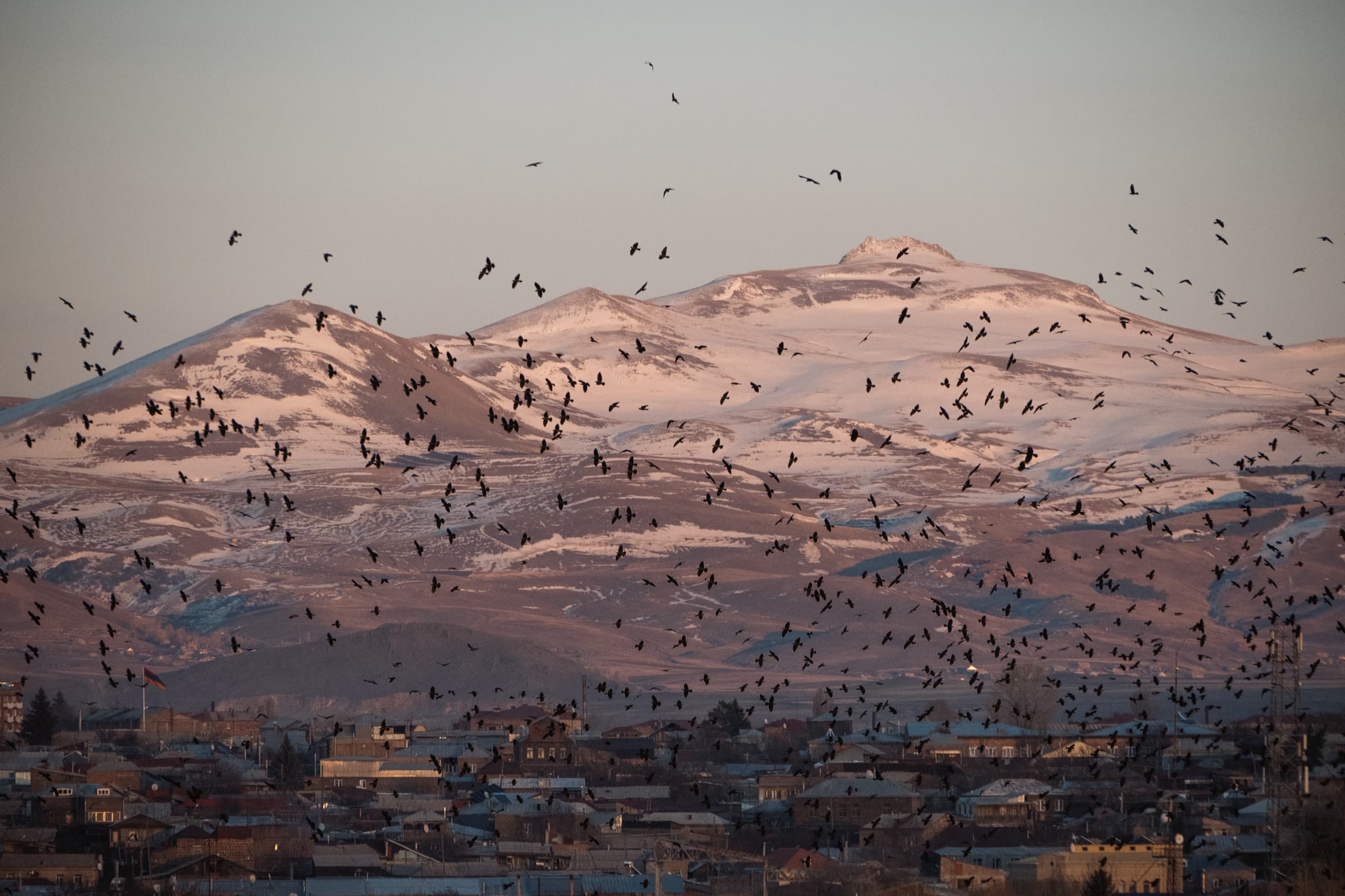 Птицы на фоне горы Арснакар