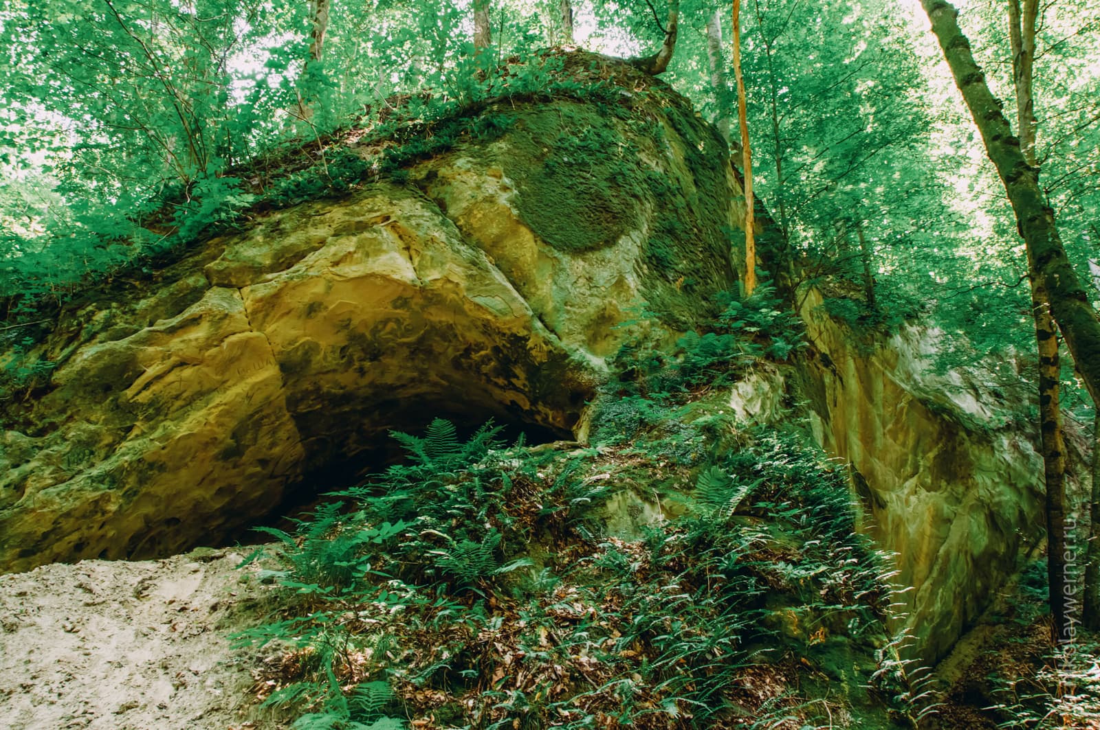 Треугольная скала из грязно-жёлто-зелёного песчаника с гротом и папоротниками в основании. Наверху плотной стеной стоит лес, чьи стволы обрезаны верхним краем кадра