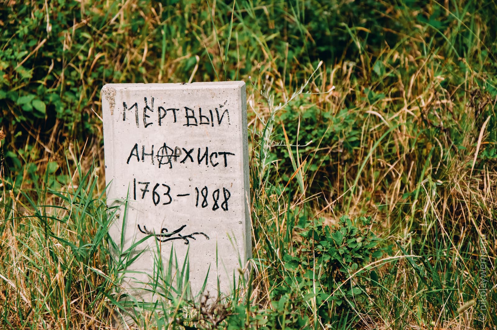 Серая плита стоит в траве. Надпись чёрным маркером на плите: "Мёртвый анархист. 1763-1888«